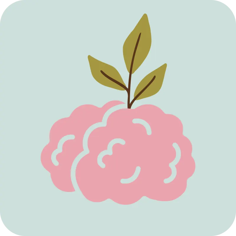A structured multi-year roadmap - Lughaty Academy Learning Approach